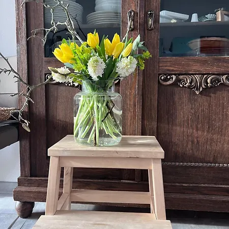 Flecksches Gut * Λειψία