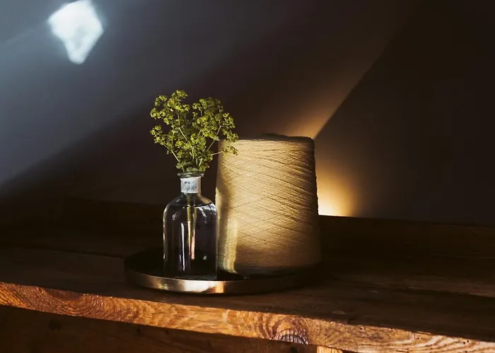 Apartment Flecksches Gut